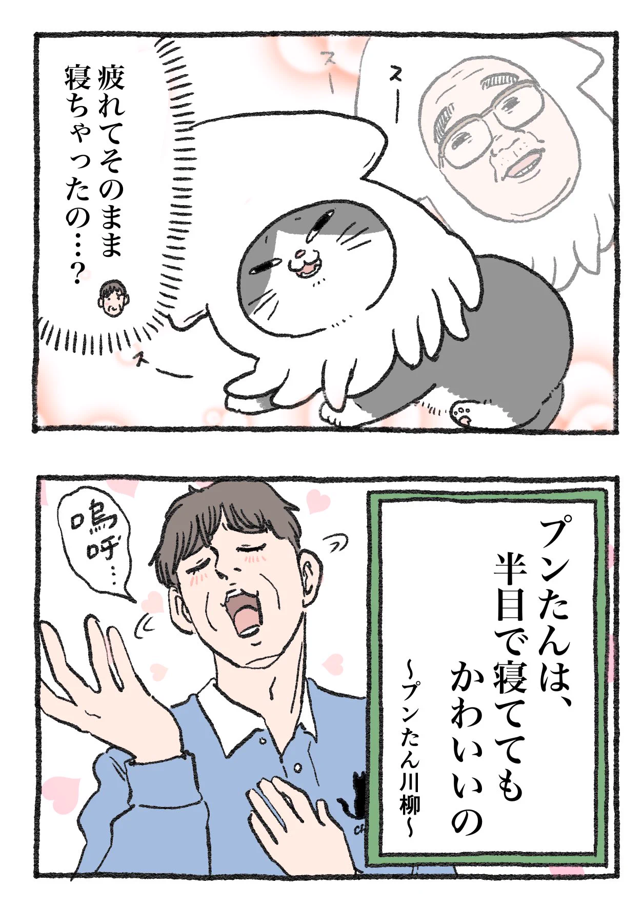 「ねこ転」その113が公開！遊び疲れて寝落ちするプンちゃんが可愛い！