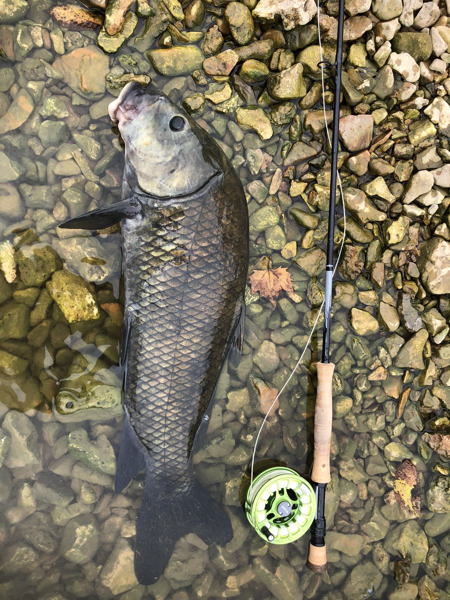 ABCFlyFishing tweet picture