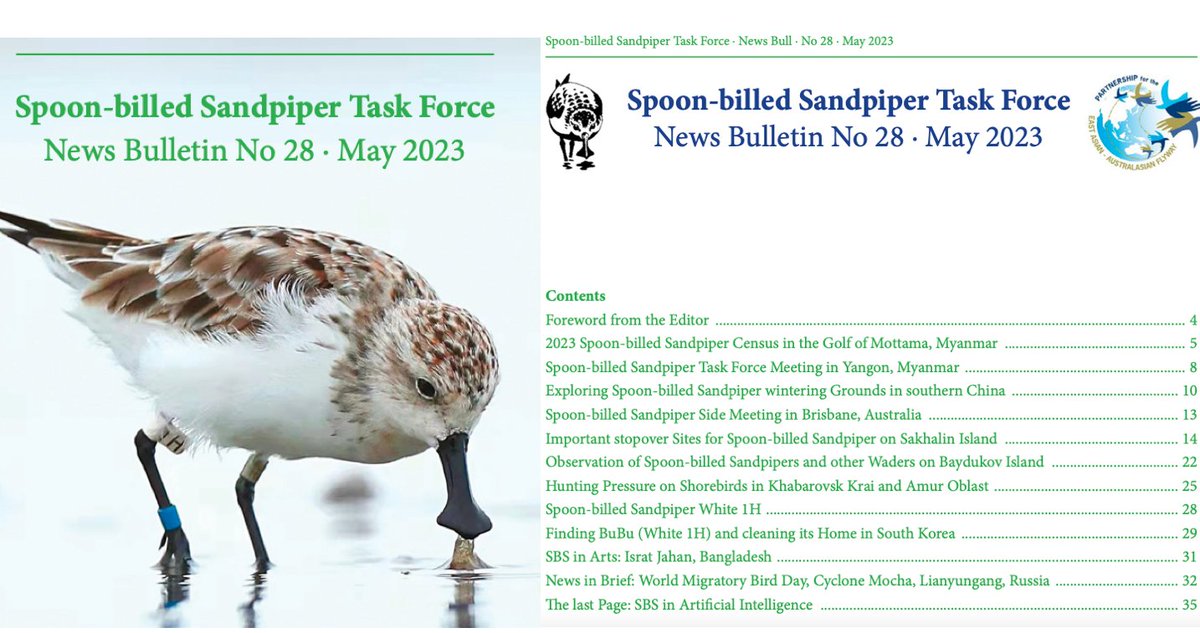 Sayam U. Chowdhury (@sayamchowdhury) on Twitter photo Spoon-billed Sandpiper Task Force (<a href="/SBS_TF/">Spoon-billed Sandpiper Task Force</a>) News Bulletin 28 (May 2023) is now out with many new exciting updates and with a message from the team that 'we have not saved Spoonie yet', there is much more to do!' See full newsletter here:
eaaflyway.net/wp-content/upl… Spoon-billed Sandpiper Task Force (<a href="/SBS_TF/">Spoon-billed Sandpiper Task Force</a>) News Bulletin 28 (May 2023) is now out with many new exciting updates and with a message from the team that 'we have not saved Spoonie yet', there is much more to do!' See full newsletter here:
eaaflyway.net/wp-content/upl…