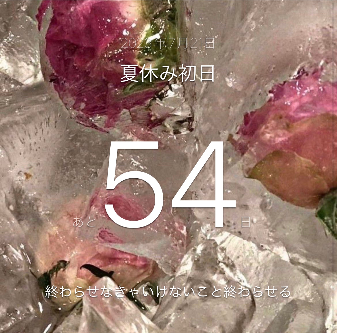 今週もお疲れ様でした👶🏻🤍
すごく久しぶりに土日両方とも予定が入ってしまい、頑張り切れませんでした(平日は今週テスト期間だったので早く帰れてます)

また気合いを入れなければ ... って毎週言ってる気がする

今週のお気に入り、ぜひ聞いてみて欲しいです🎧𓈒 𓂂𓏸