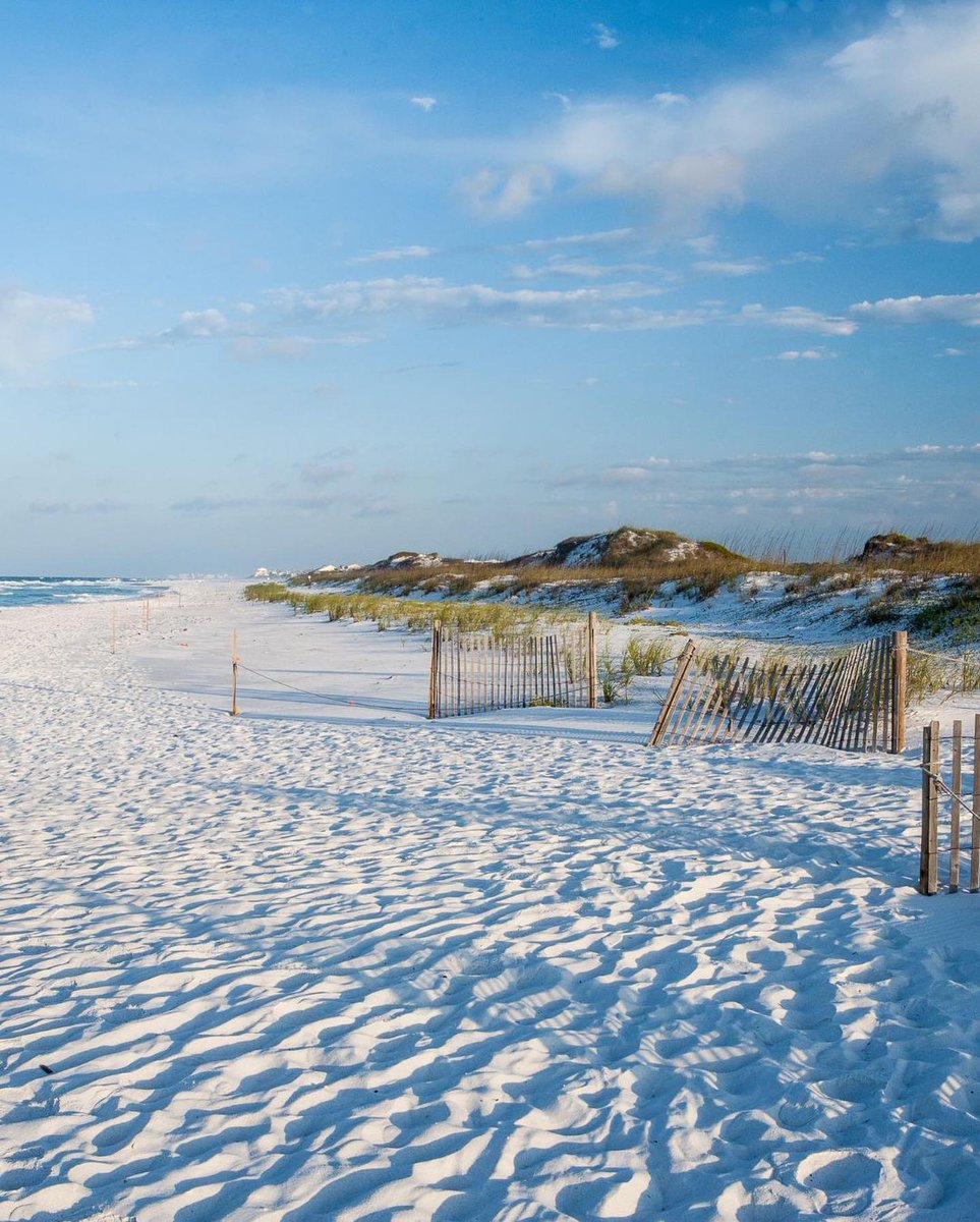 SouthWalton's tweet photo. ✨ Sandy Sunday mornings ✨

📸: cadeyolearycollection on Insta https://t.co/0ktPooGg6o