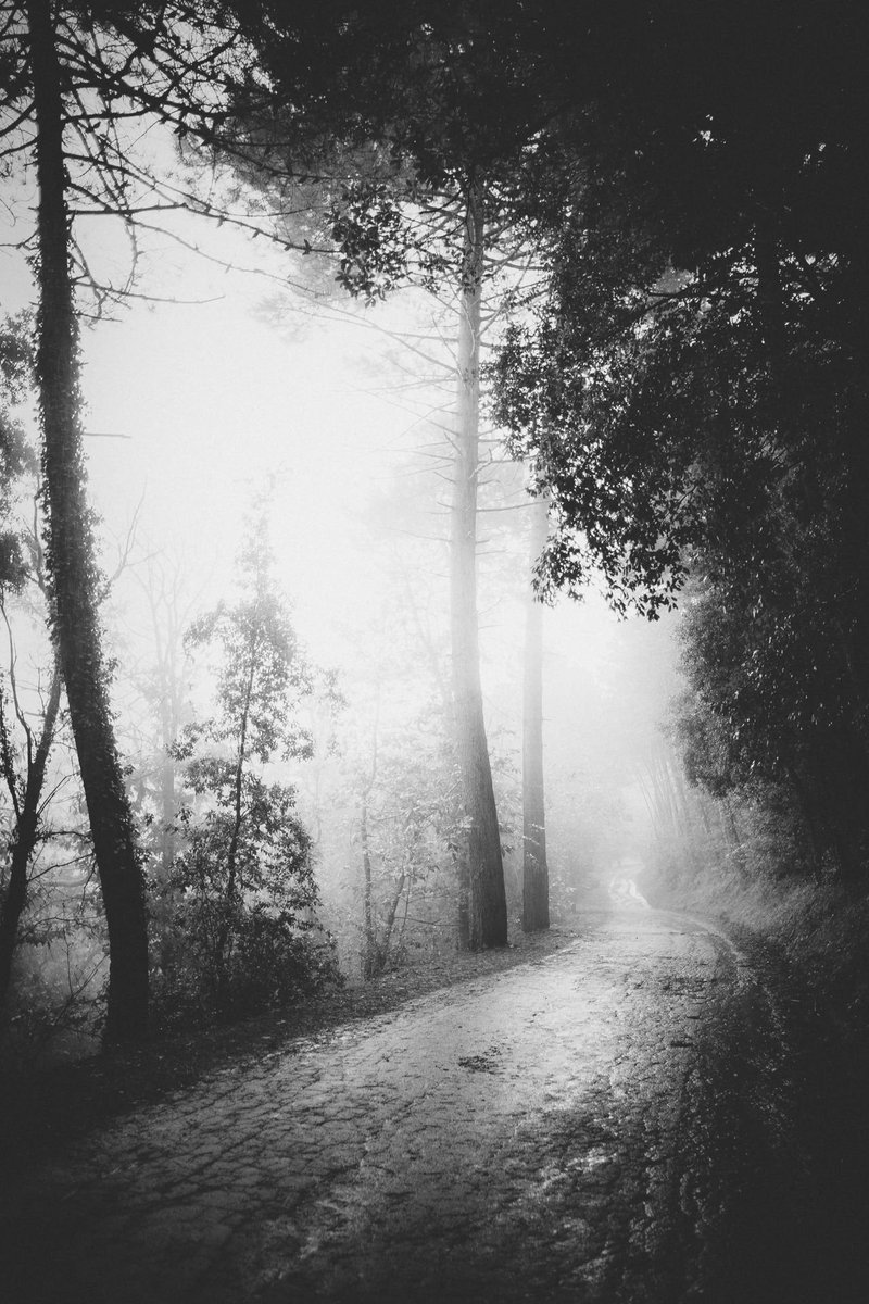 NIN75_'s tweet photo. The path....... https://t.co/CJfdkLKk8s
