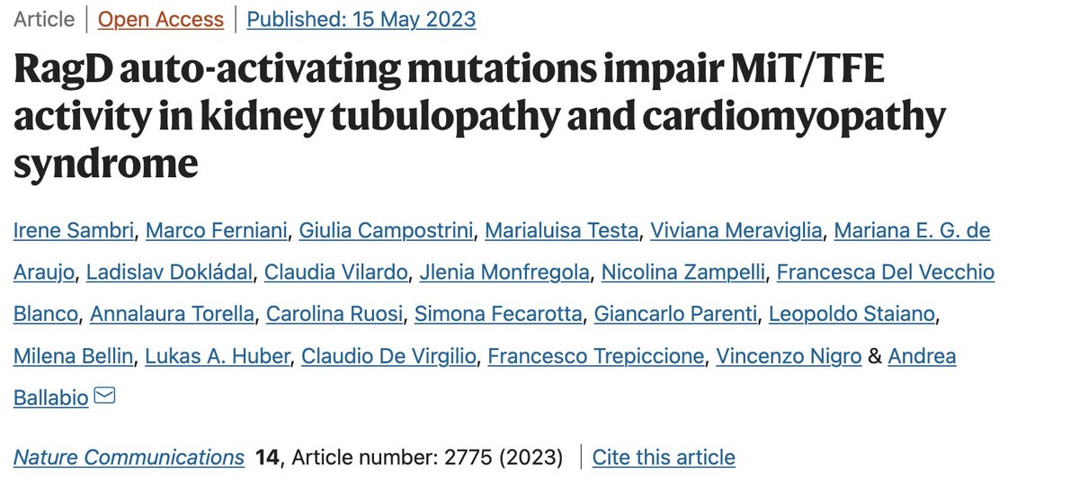 Heterozygous mutations in the gene encoding RagD GTPase have been identified as the cause of this unique autosomal dominant condition!

shorturl.at/TUVX7