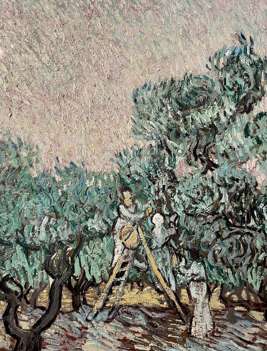 Olive Grove
(Detail)

🩶 Vincent Van Gogh