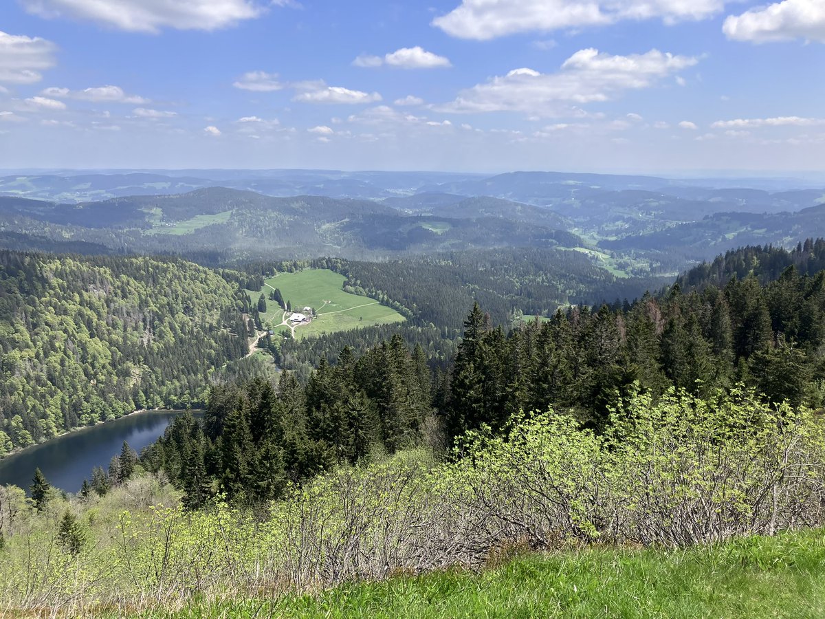 HGMaassen's tweet photo. Frohe Pfingsten und herzliche Grüße von meiner heutigen Wanderung! https://t.co/MeETTFnjfV