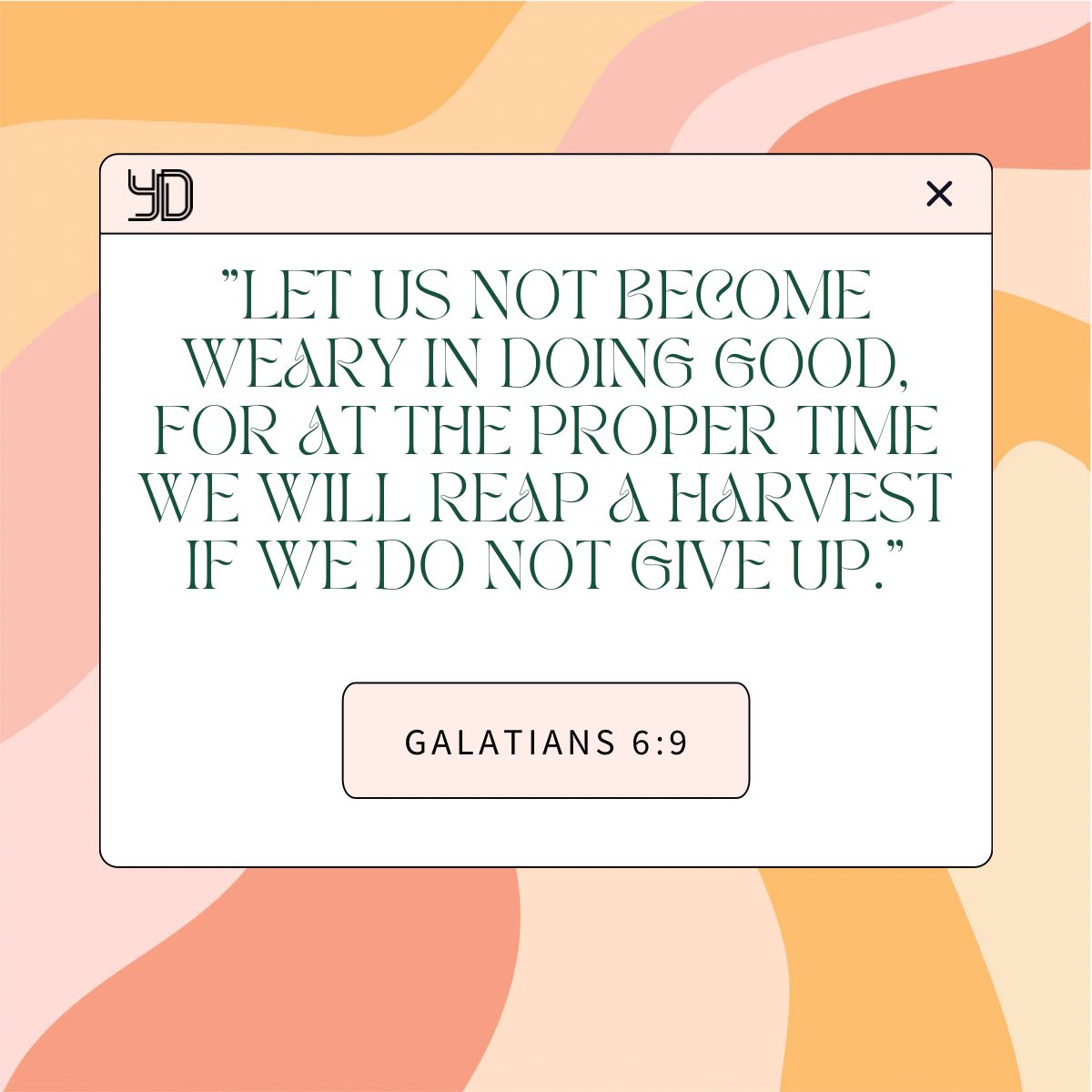 Youth & Discipleship tweet media