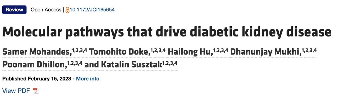 Dive in this beautiful review article about diabetic kidney disease talking about the molecular and genetic studies highlight the critical role of podocytes and endothelial cells in driving albuminuria and early kidney disease in diabetes. 

tinyurl.com/yfhnpncz