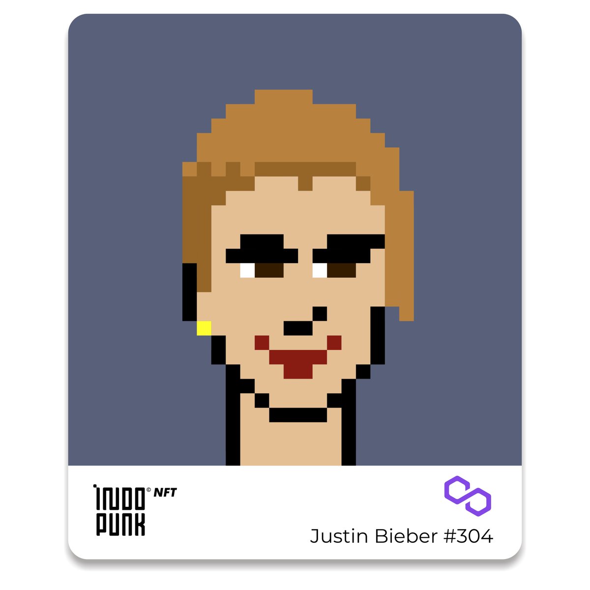 NFT Indopunks™ tweet media