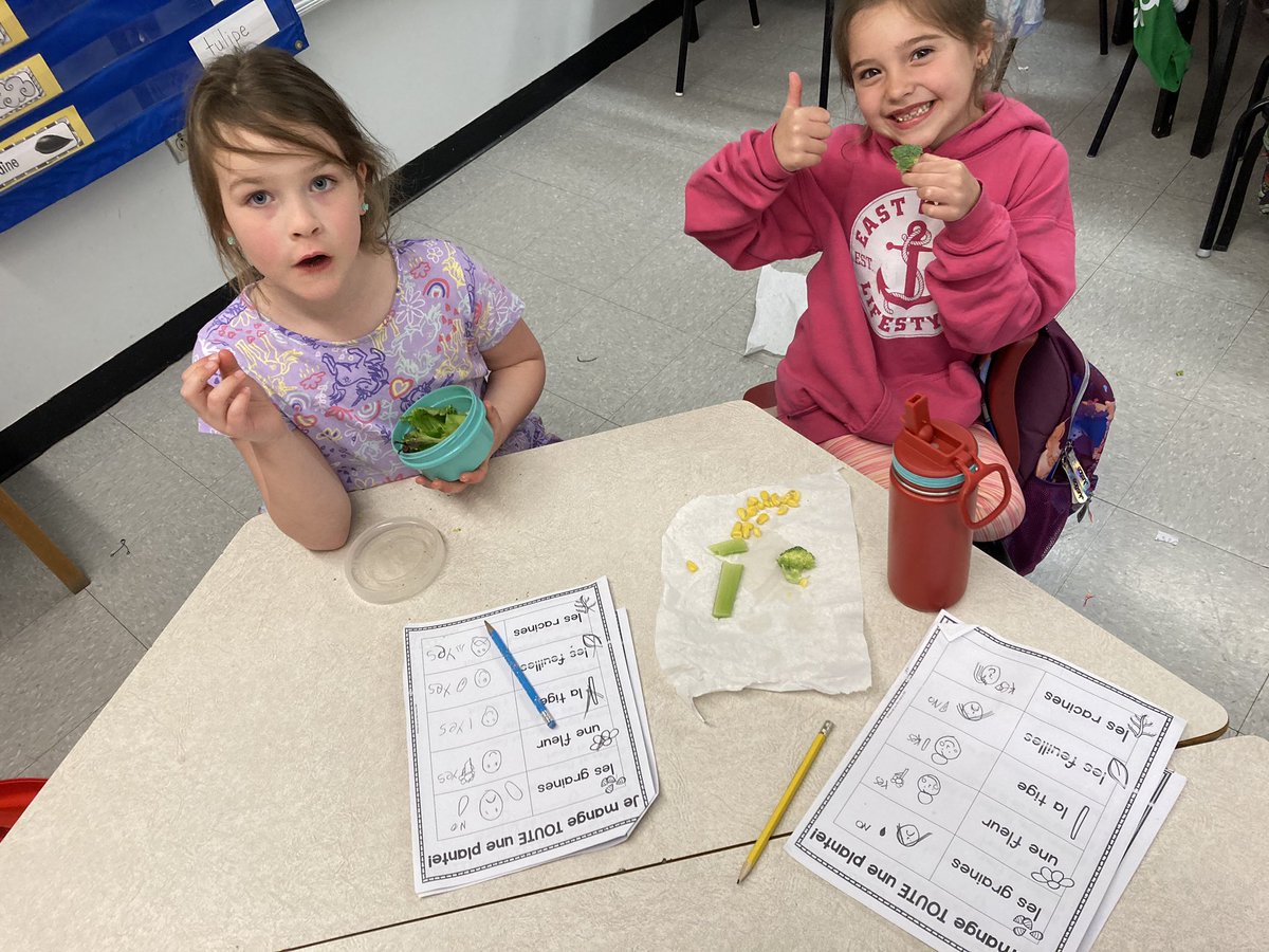 MsYoungSHA's tweet image. Always one of my favourite activities when we learn about plants - eating all of the parts! We tried stems, leaves, roots, flowers and seeds with mixed reviews! 😋🥕🥬🥦🌽 @SHA_NL @LetsTalkScience
