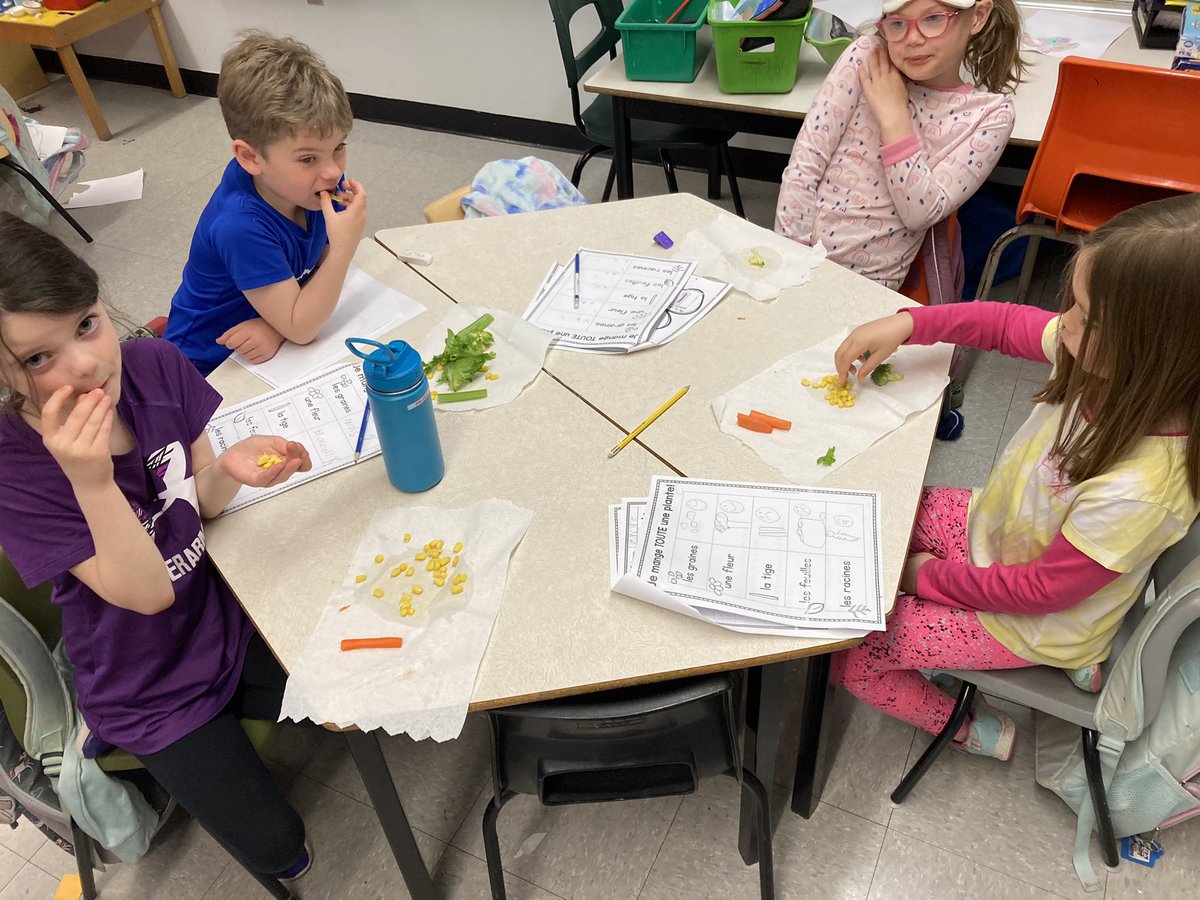MsYoungSHA's tweet image. Always one of my favourite activities when we learn about plants - eating all of the parts! We tried stems, leaves, roots, flowers and seeds with mixed reviews! 😋🥕🥬🥦🌽 @SHA_NL @LetsTalkScience