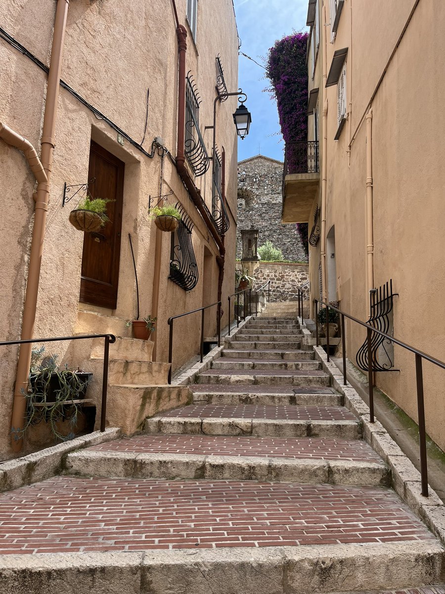 #PointMétéo passion marches 🤩 #Cannes2023 #spleen #lesuquet #cannes #CotedAzurFrance