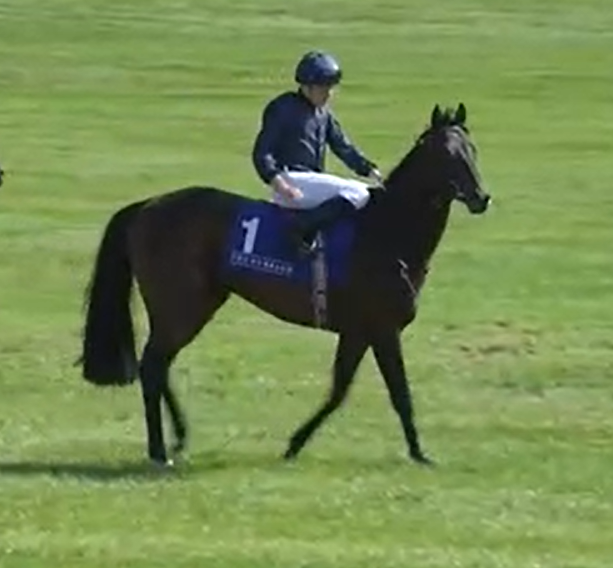 aobrienfansite's tweet photo. Drumroll full bro to Saxon Warrior https://t.co/9SEO7w8BBP