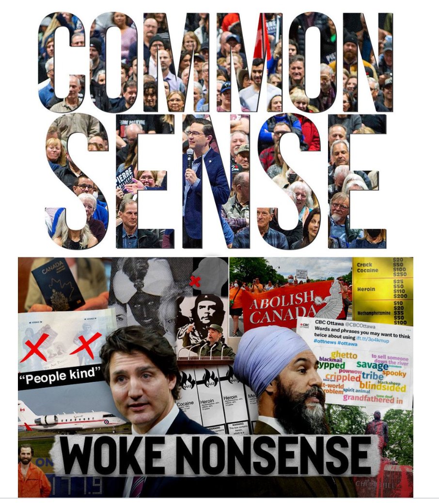 No surprise here, #PeePee & his PR team using specfic images to scare white folk into voting for him.  

- Crowd is 100% white 
- Image of PMJT dressed up as Aladdin 
- Some weird reference to Fidel Castro 
- Bizarre words about PC wording not to use 
- Cocaine! Heroin! Crack!