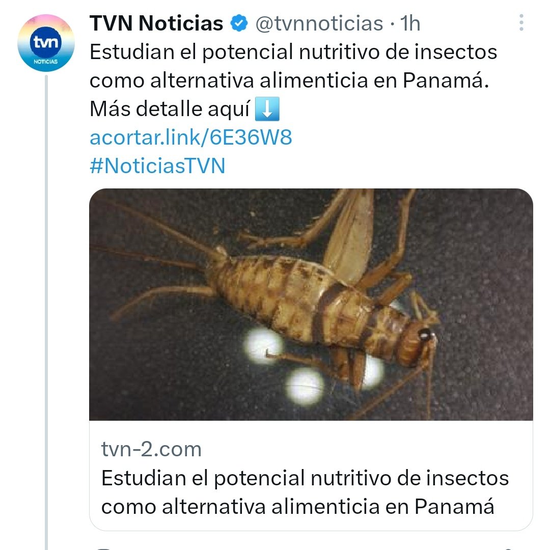 Fela76007749's tweet photo. Hoy TVN Noticias sale con esto ☹️
EL objetivo real no. 12 de la Agenda PERVERSA de la inútil e inoperante ONU... 🙄👇
#NoAgenda2030 🚫
#NoComoInsectos 🦗🤮🚫 https://t.co/qgBBJJZpfz