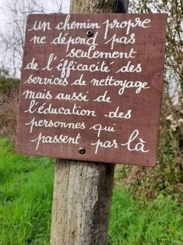 Alice Vachet (@alicevachet) on Twitter photo 