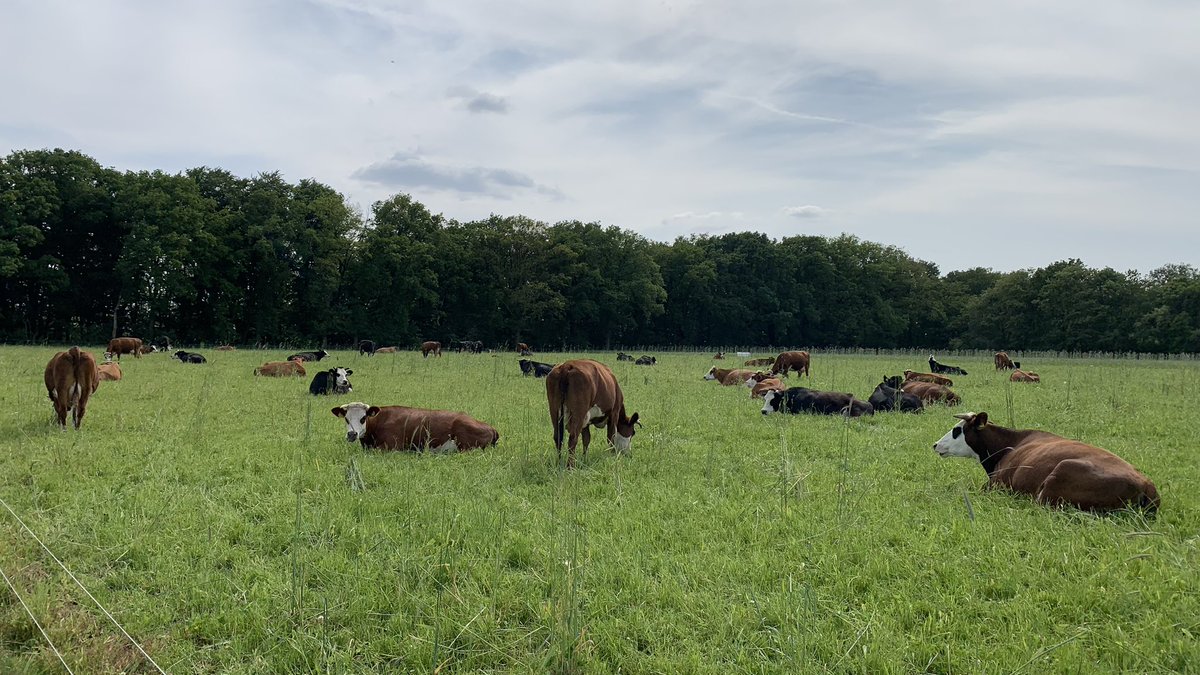 Aangekomen in Heelsum. Wat een prachtige route. Wageningse berg. Renkums beekdal. Top allemaal. Morgen door naar Arnhem.