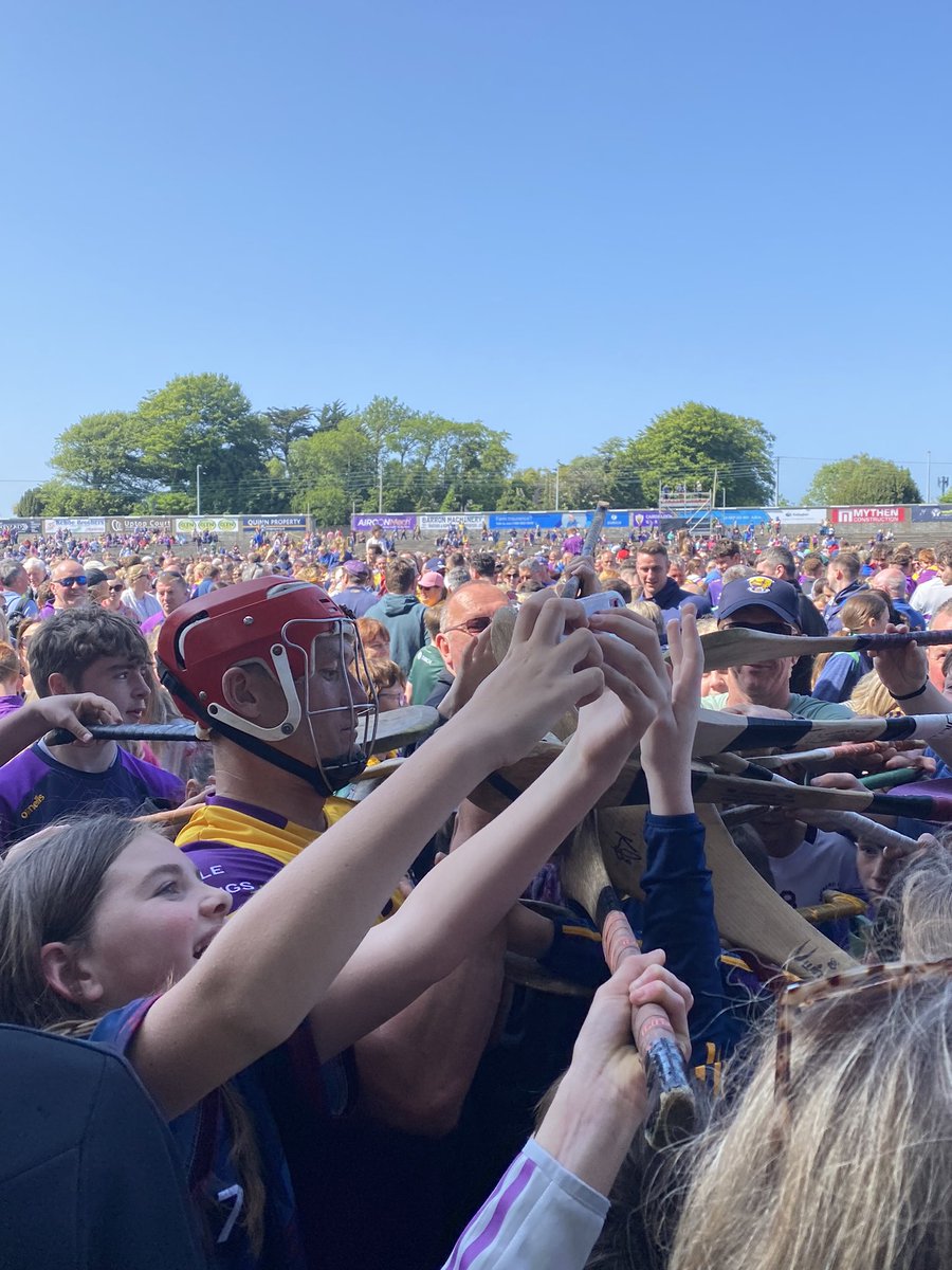 When a leader was needed💜💛 #Wexford #hurling #@OfficialWexGAA