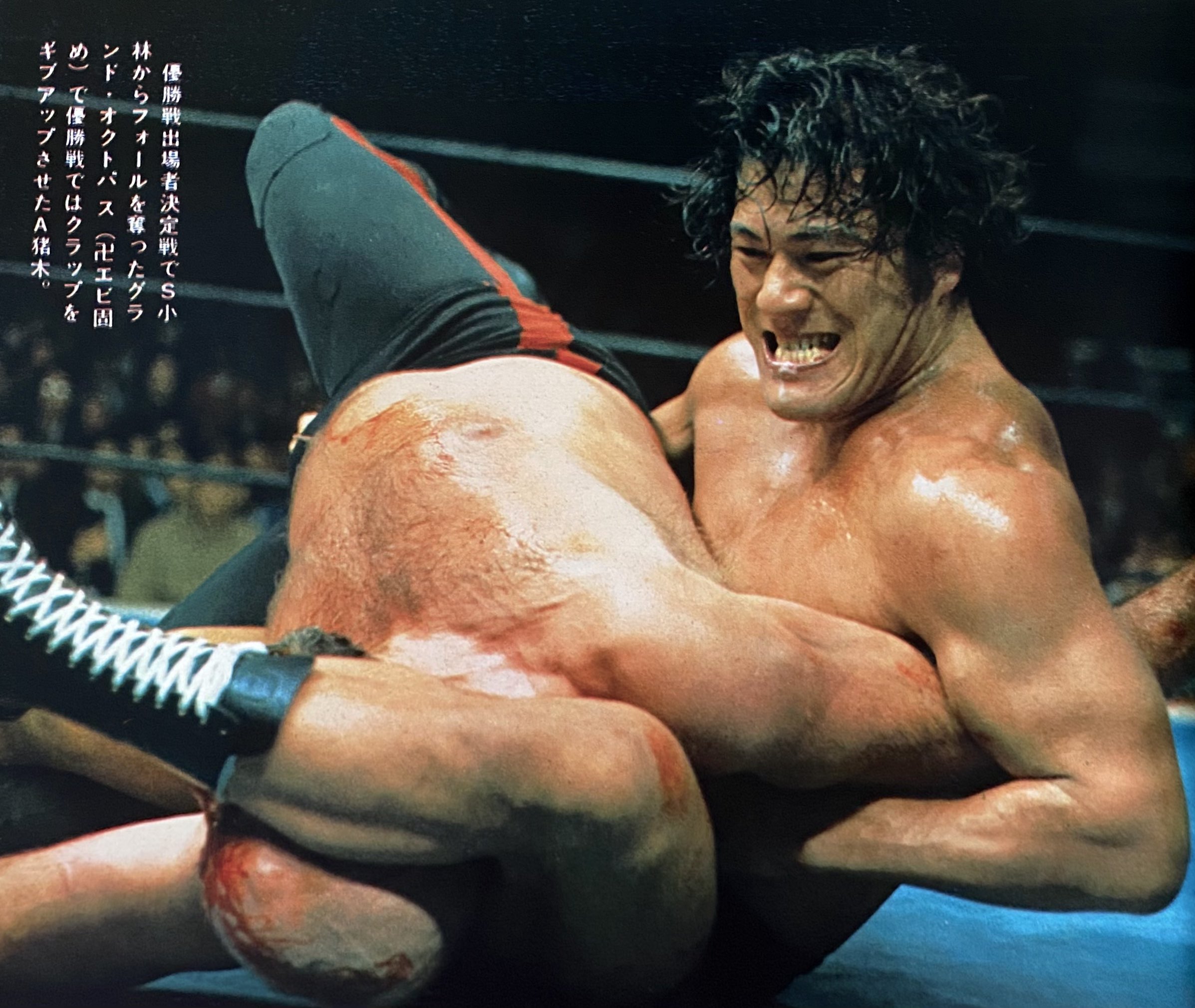 ハムさん on Twitter 