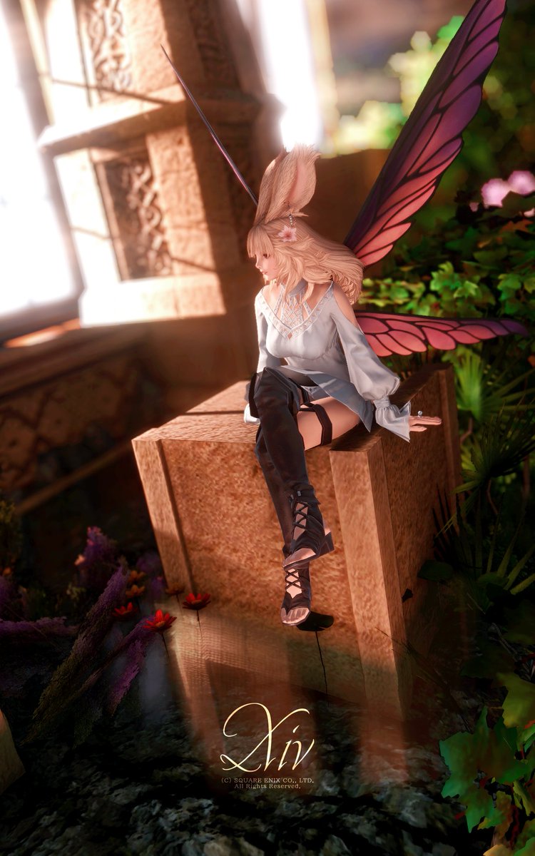 sorawind_ff14's tweet photo. フェアリーの休息

#FF14 #ヴィエラ https://t.co/L1HQckZaEX