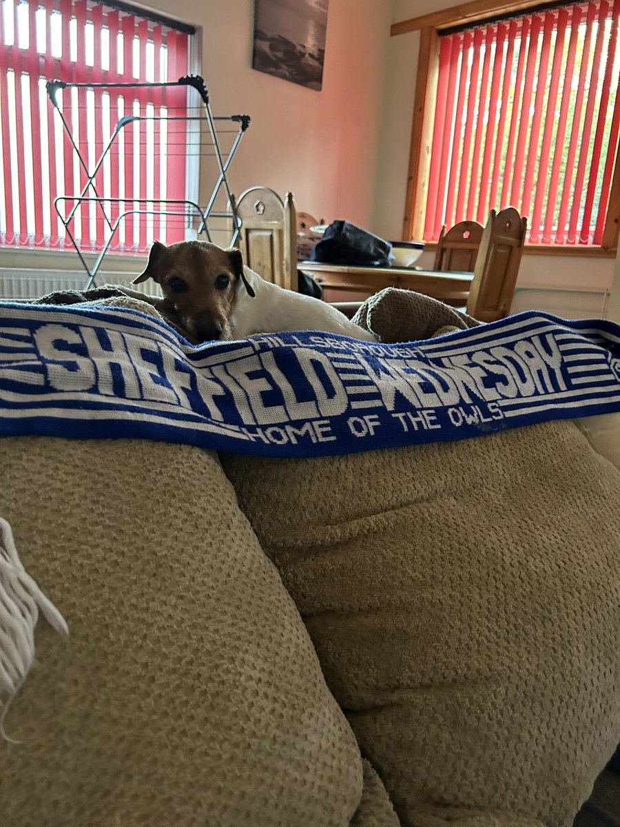 M3ode's tweet image. Ready for tomorrow #swfc