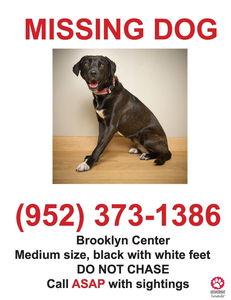 Please share!! ♥️ Sadie is still missing in the Brooklyn Center area. 🥺