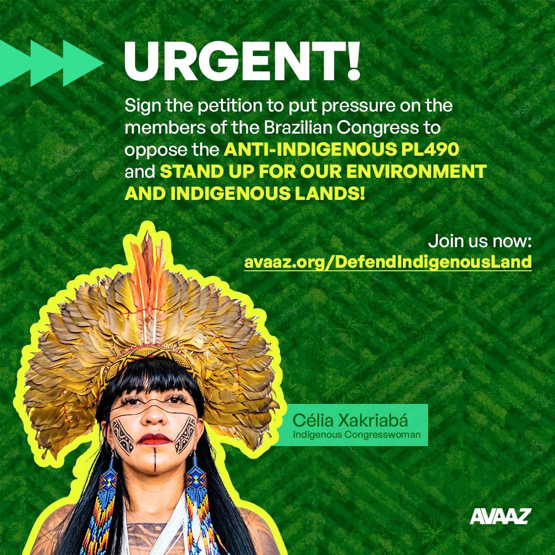 Fridays For Future Bonn tweet media