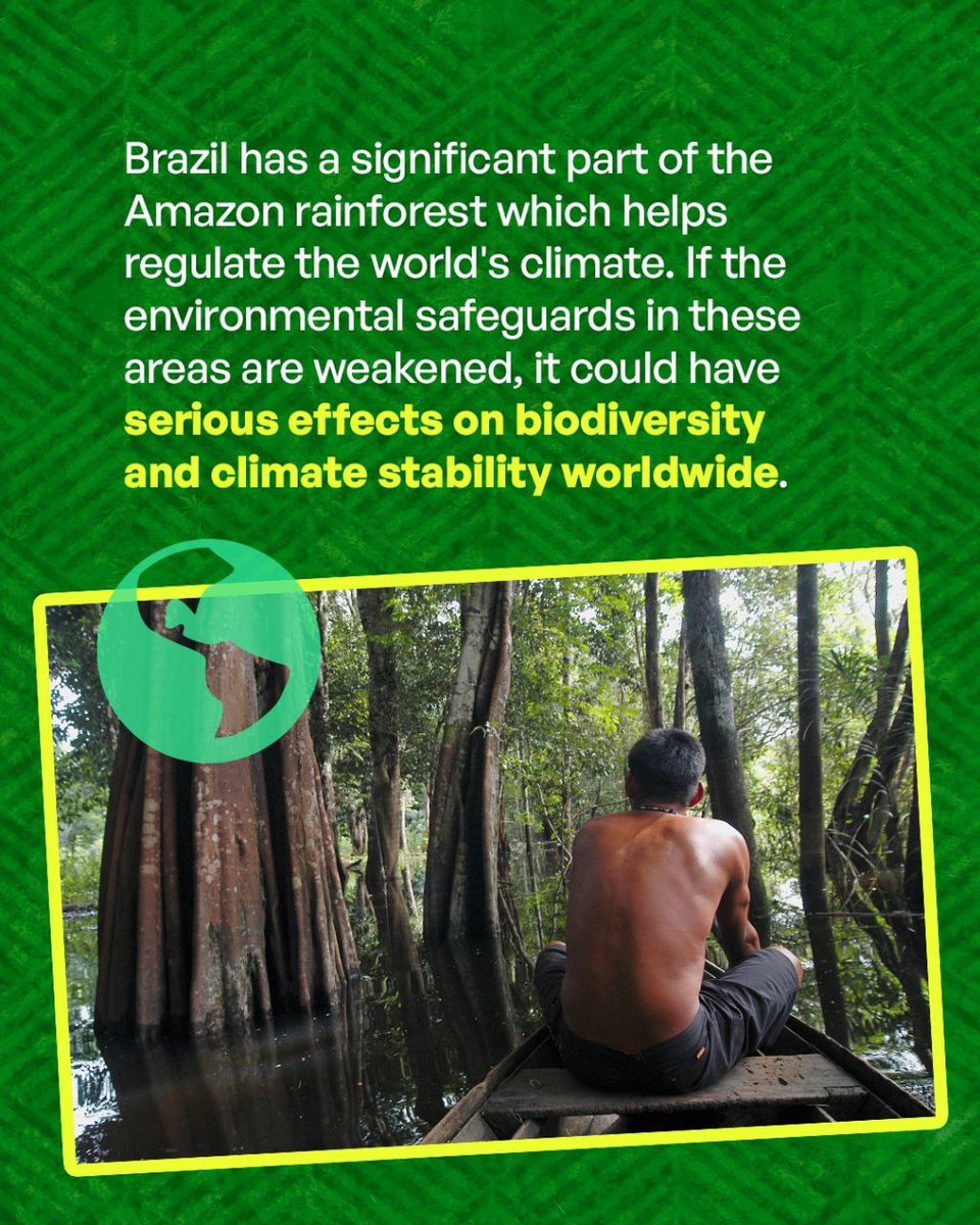 Fridays For Future Bonn tweet media