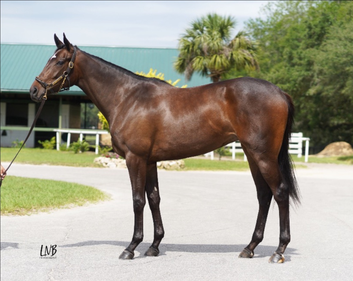 Blue Streak Racing, LLC tweet media