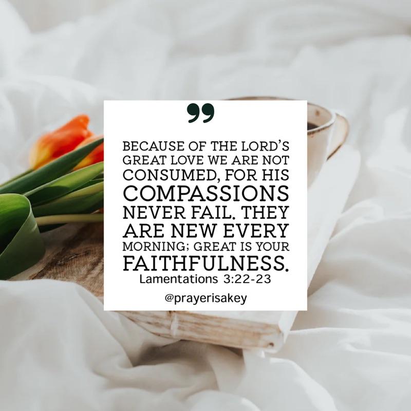 key_prayer's tweet image. Good morning God! 

Thank You that because of Your great love, we are not consumed! Thank You for Your compassion that never fails. Thank You that Your mercy is new every morning and that Your faithfulness is great!

#GodsLove #worshipGOD #GoodMorningGod