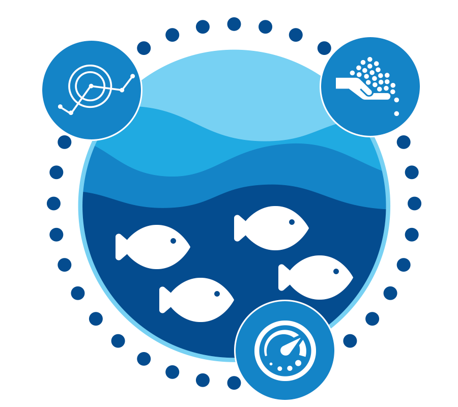 Hendar_K07's tweet photo. 🌊🐟 Bergabunglah dengan pelatihan #budidayaikanonline terbaik kami untuk mempelajari pemilihan ikan, teknik efisien, dan perawatan kolam. Tingkatkan keterampilanmu dalam #budidayaikan dari rumah!  klik https://t.co/WJiRVXOzTD #pelatihanonline #pelatihanbudidayaikan https://t.co/mTtxYM0TLE