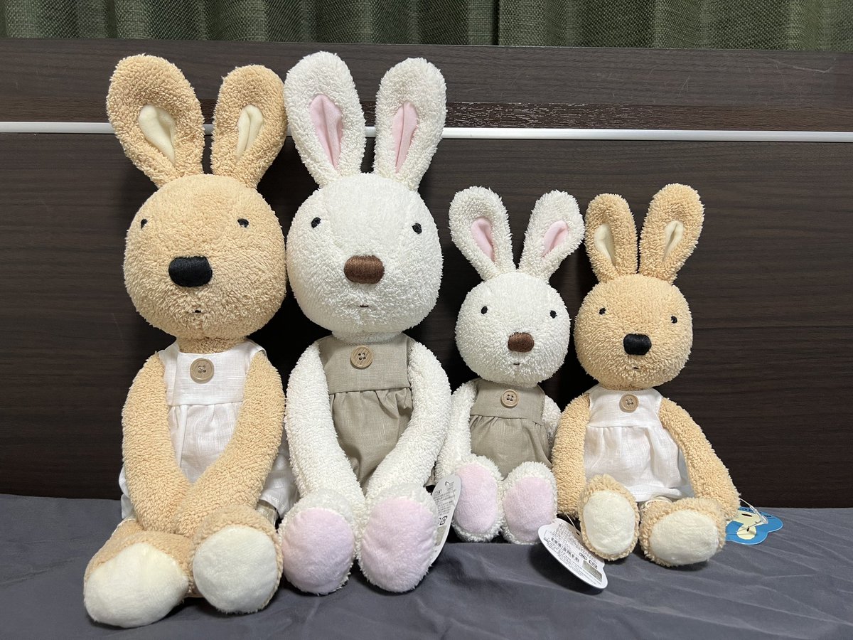 お迎えした頃の自慢の一枚見せて ルシュクルがめでたく再販され、 ぴと