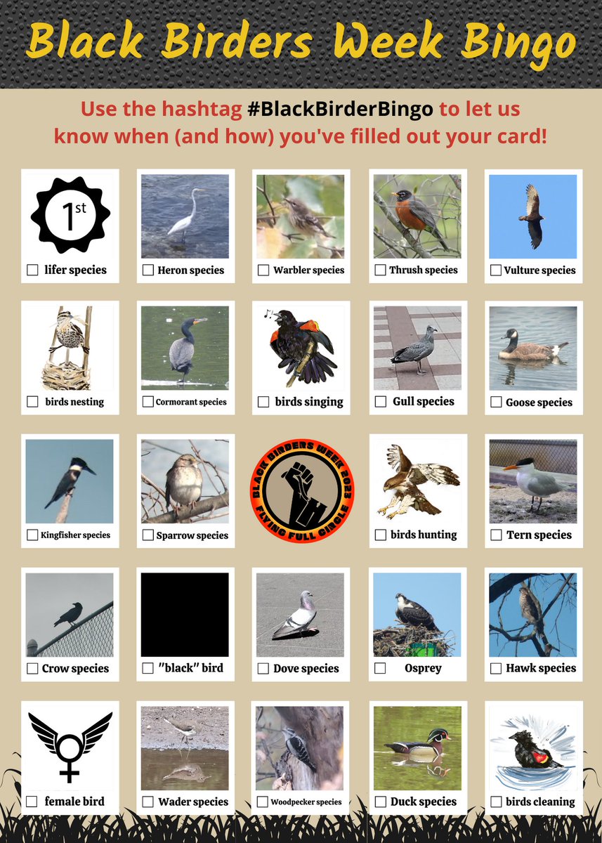BlackAFinSTEM (@blackafinstem) on Twitter photo We love hosting giveaways throughout #BlackBirdersWeek, but we think it's only fair that y'all put in a little work too.
So this year, inspired by <a href="/BadgerlandBirds/">Badgerland Birding</a>' recent Migration Madness contest, we're doing a Black Birders Week Bingo game!
Rules below! ⬇️⬇️⬇️ We love hosting giveaways throughout #BlackBirdersWeek, but we think it's only fair that y'all put in a little work too.
So this year, inspired by <a href="/BadgerlandBirds/">Badgerland Birding</a>' recent Migration Madness contest, we're doing a Black Birders Week Bingo game!
Rules below! ⬇️⬇️⬇️