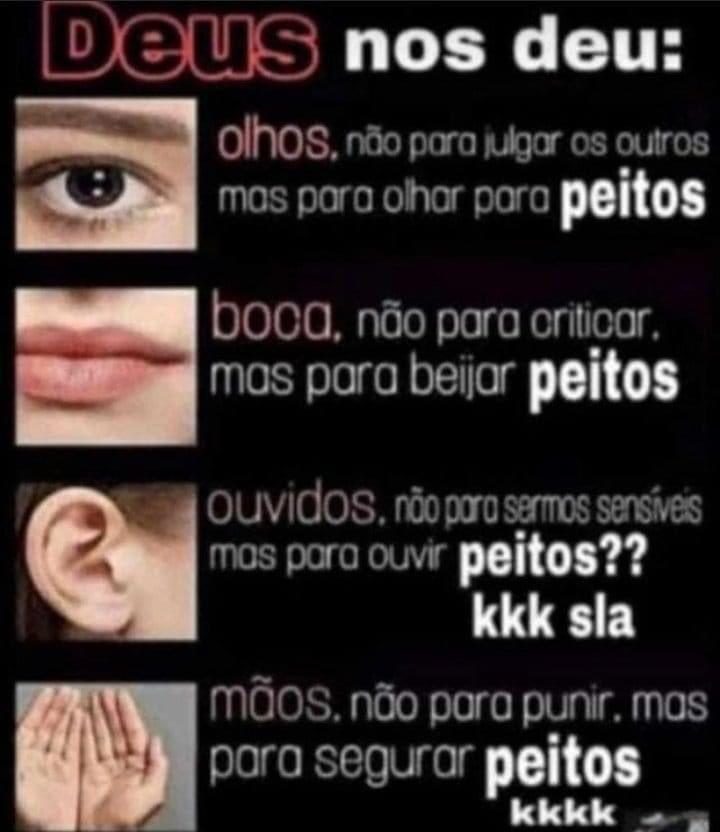 perfil dedicado a gatinhos e peitos (@odeiootaco) on Twitter photo 