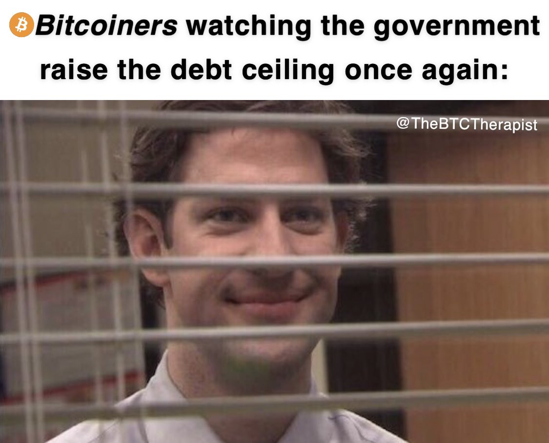 The ₿itcoin Therapist tweet media