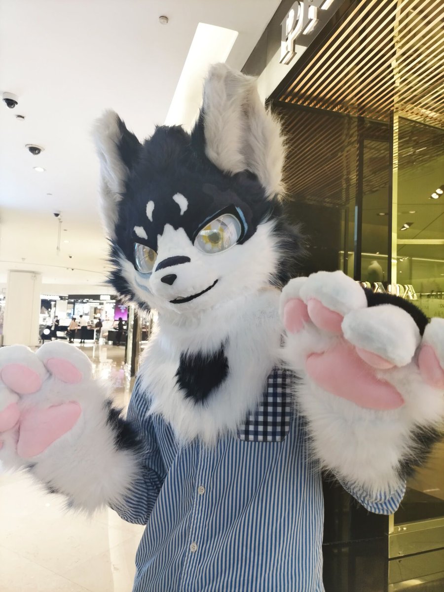 今天，是毛毛的生日哦～