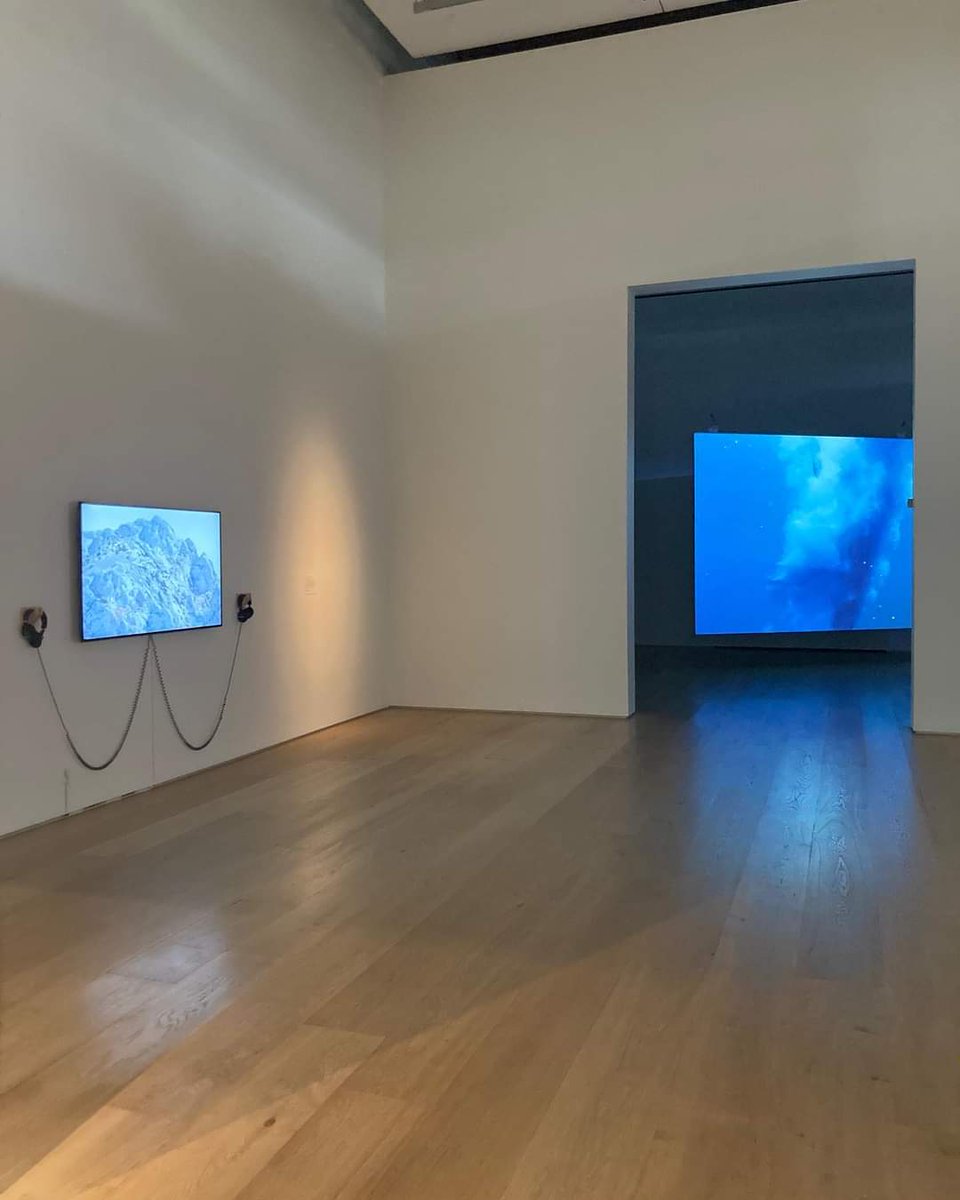 EskerFoundation's tweet photo. Just opened solo exhibition by Mel O'Callaghan "Pulse of the Planet" ~ including video, film, painting, sculpture, performances, sound works, wall painting. Don't miss it! Open weekends 12-5pm. https://t.co/1Hd76Nxrde
