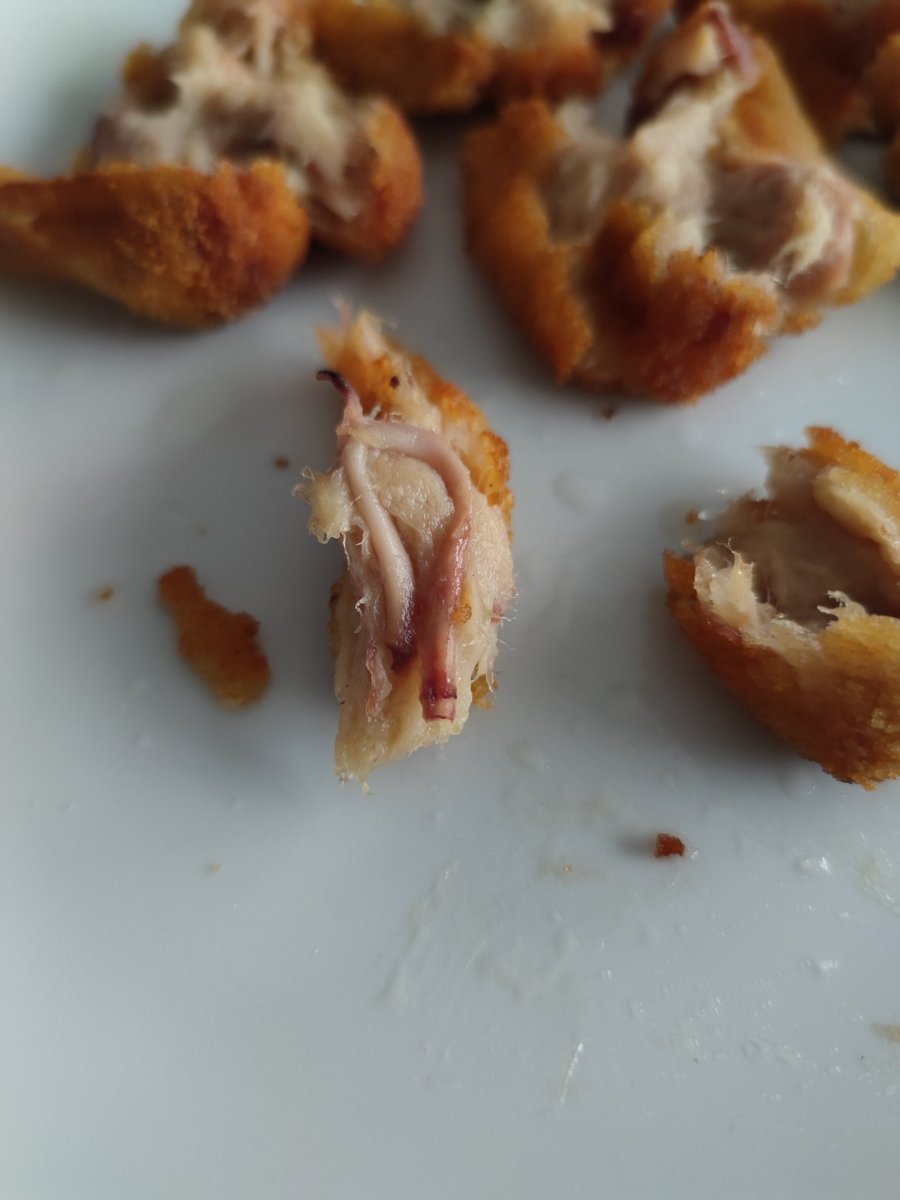 Elisabet_Af's tweet image. Mentre vosaltres sou feliços anant a votar avui diumenge, jo m'he trobat aquesta cosa fastigosa dins les croquetes de carn del @bonpreuesclat
Sentiu-vos més afortunats que jo, que he vomitat fins a la primera farineta 
#fastic #croquetesbonpreu #esclat #ultimahora #Eleccions2023