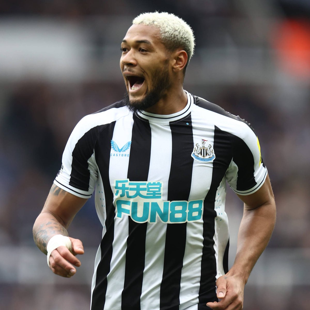 Sofascore Brazil on Twitter "Joelinton pelo Newcastle na temporada 22/