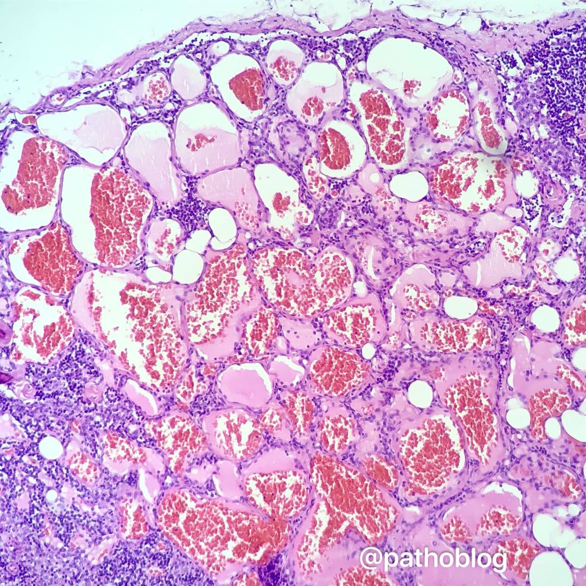 Anna Vasileva tweet media