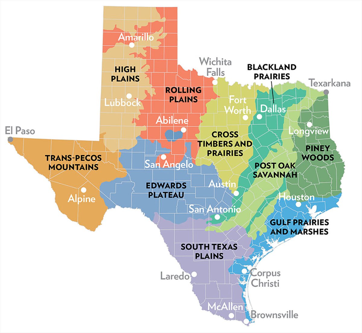 Traces of Texas tweet media