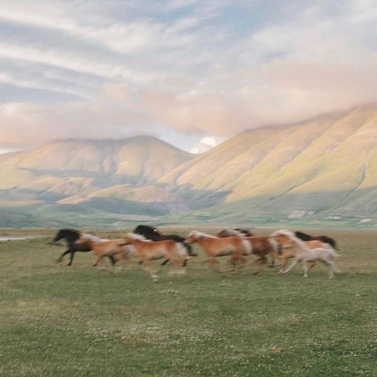 ⠀⠀⠀⠀⠀⠀⠀⠀⠀⠀⠀💭 ֙⋆⠀matching icons
tiernos que podrían gustarte.