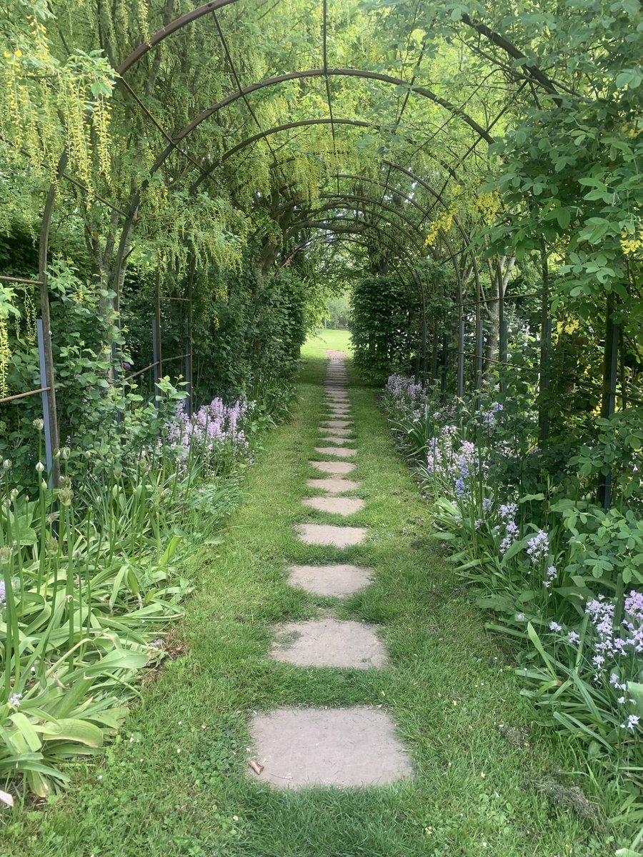 Beautiful path to walk down. 🥰 #lovenature #peaceandtranquility