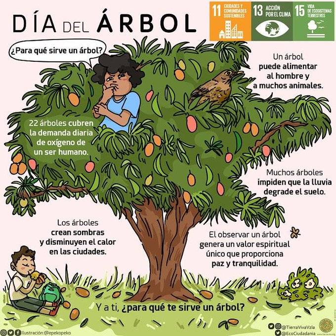 Hoy es el Día del Árbol y compartimos los beneficios que nos aportan estas plantas en nuestra vida cotidiana y para el equilibrio del ecosistema 

#DíaDelÁrbol 
#SomosBiodiversidad