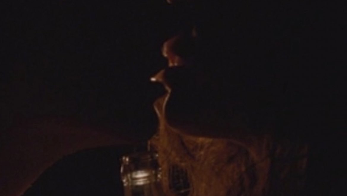 this is literally the most stunning, beautifully shot kiss in timothée’s filmography. The warm orange-toned color, the stars, their hair, their skin, their LIPS, their hands. timmy’s BACK MUSCLES?? his CLAVICLE??? the slope of his neck and jaw and nose and adam’s apple—I can’t