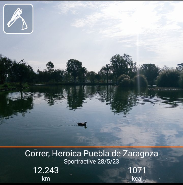 Buenos días 🌞 #runners #aquiyasecorrio #templorunner #DomingoDeEsfuerzo #yoelegicorrer💨💨🏃🏃 12 km 👊💪💯 #CdeP #MeEncantaCorrer #MiVicioEsCorrer #runningman #SomosFenixRun