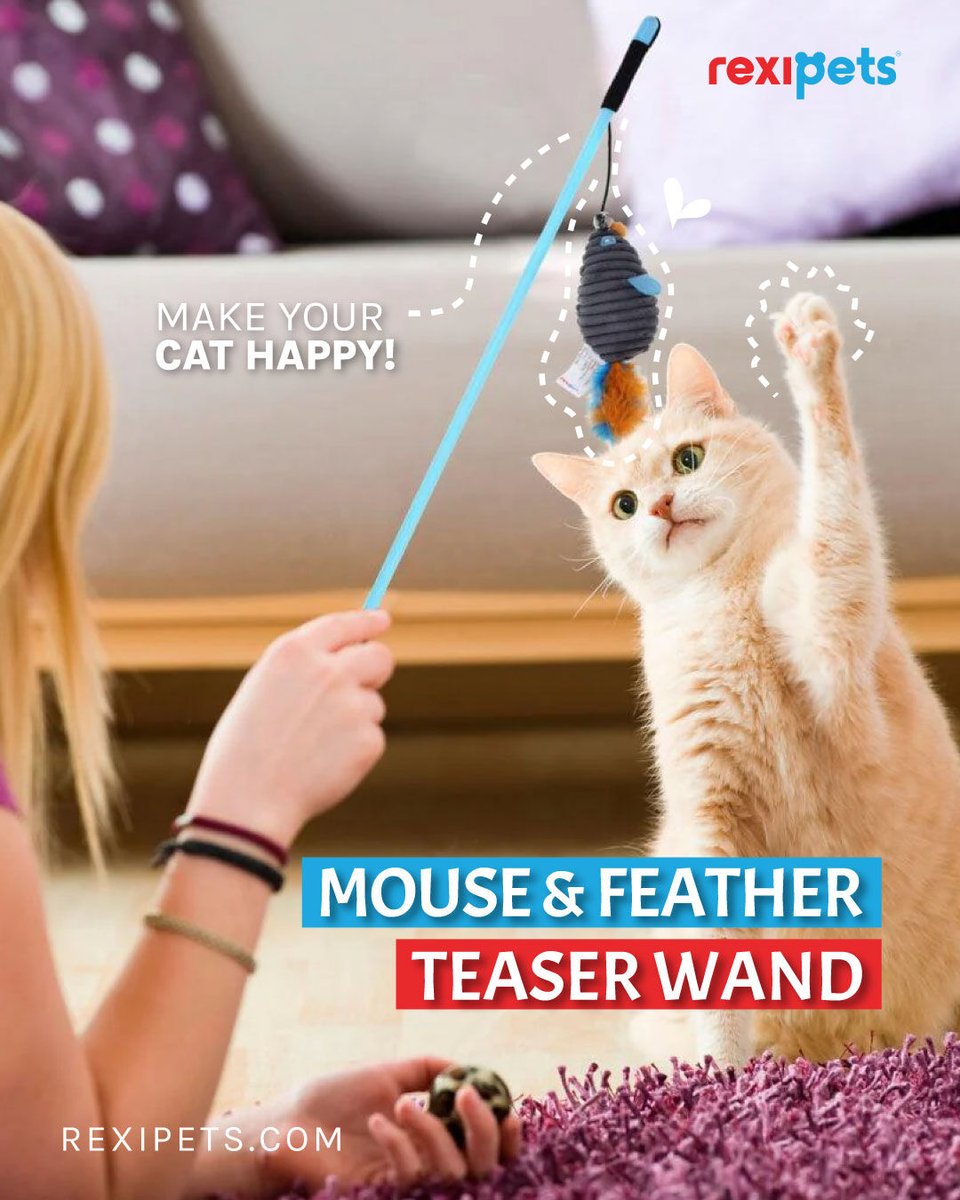 Spoil your cat with the Mouse & Feather Teaser Wand 🐭

This mouse toy flicks and bounces all over the place to keep your cat entertained for hours!

🛍️ bit.ly/catteaserwandFB 

#rexipets #catsupplies #cats #catlover #cattoys #pets #purrfectpets #toys #animals #petsofinstagram