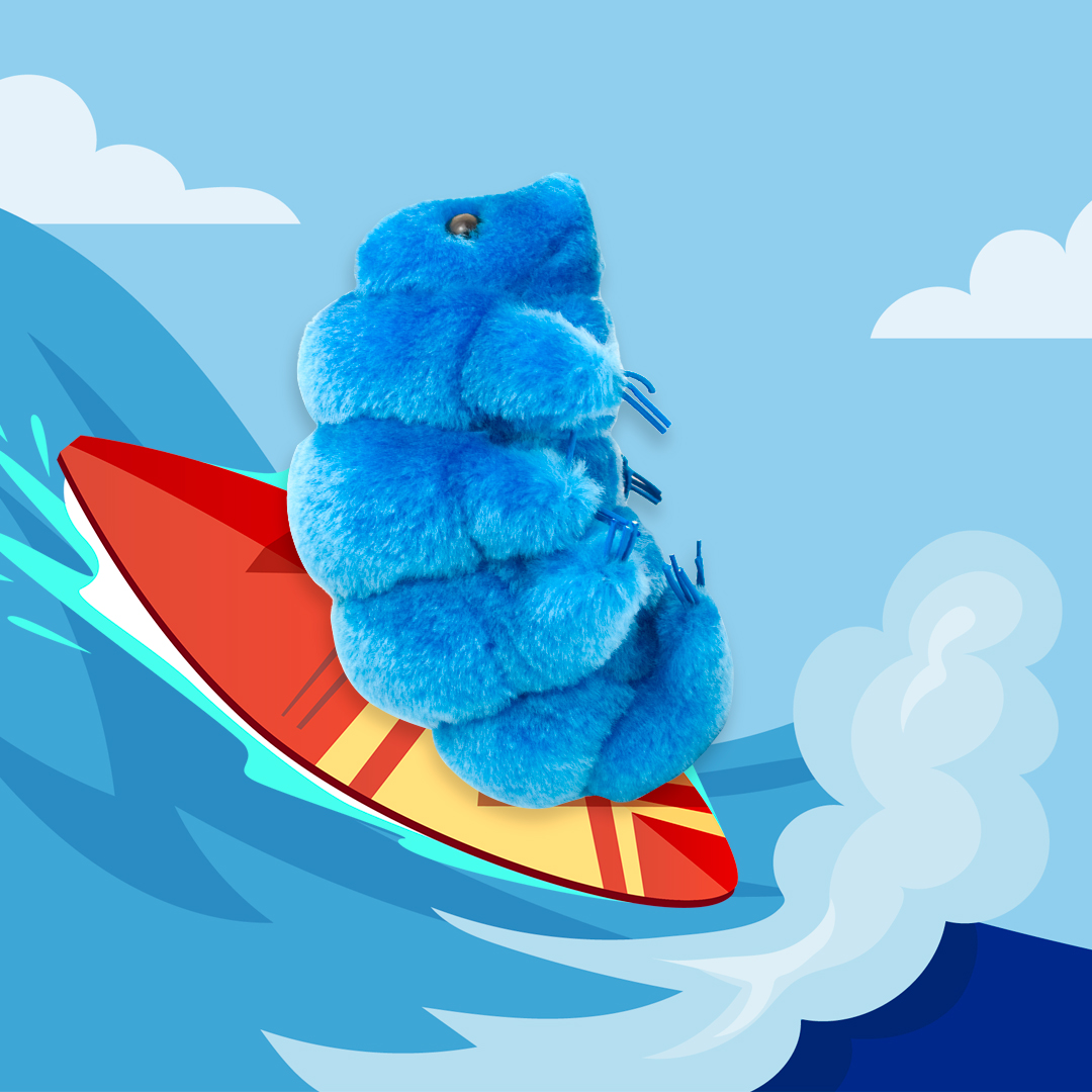 GIANTmicrobes's tweet photo. 🤙HANGING TEN🤙Waterbear is hitting the beach (and waves) this weekend. How are you spending this SUN-day?
Shop Waterbear here: https://t.co/HtiQmBdoeu
#GIANTmicrobes #waterbear #biology #microbiology #hangten #surf #mosspiglet #tardigrade #science #surflife #surfing https://t.co/SFEBybzOss