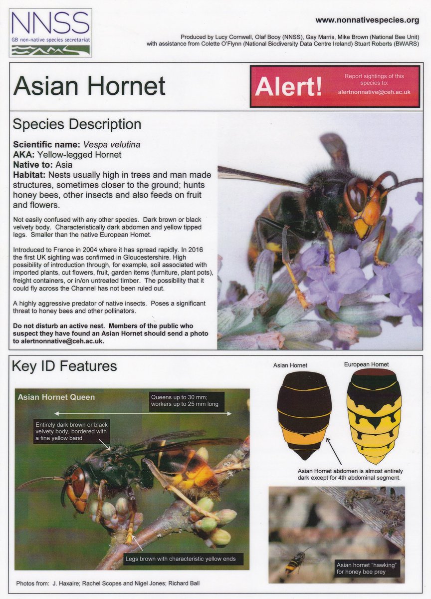 Please remain vigilant