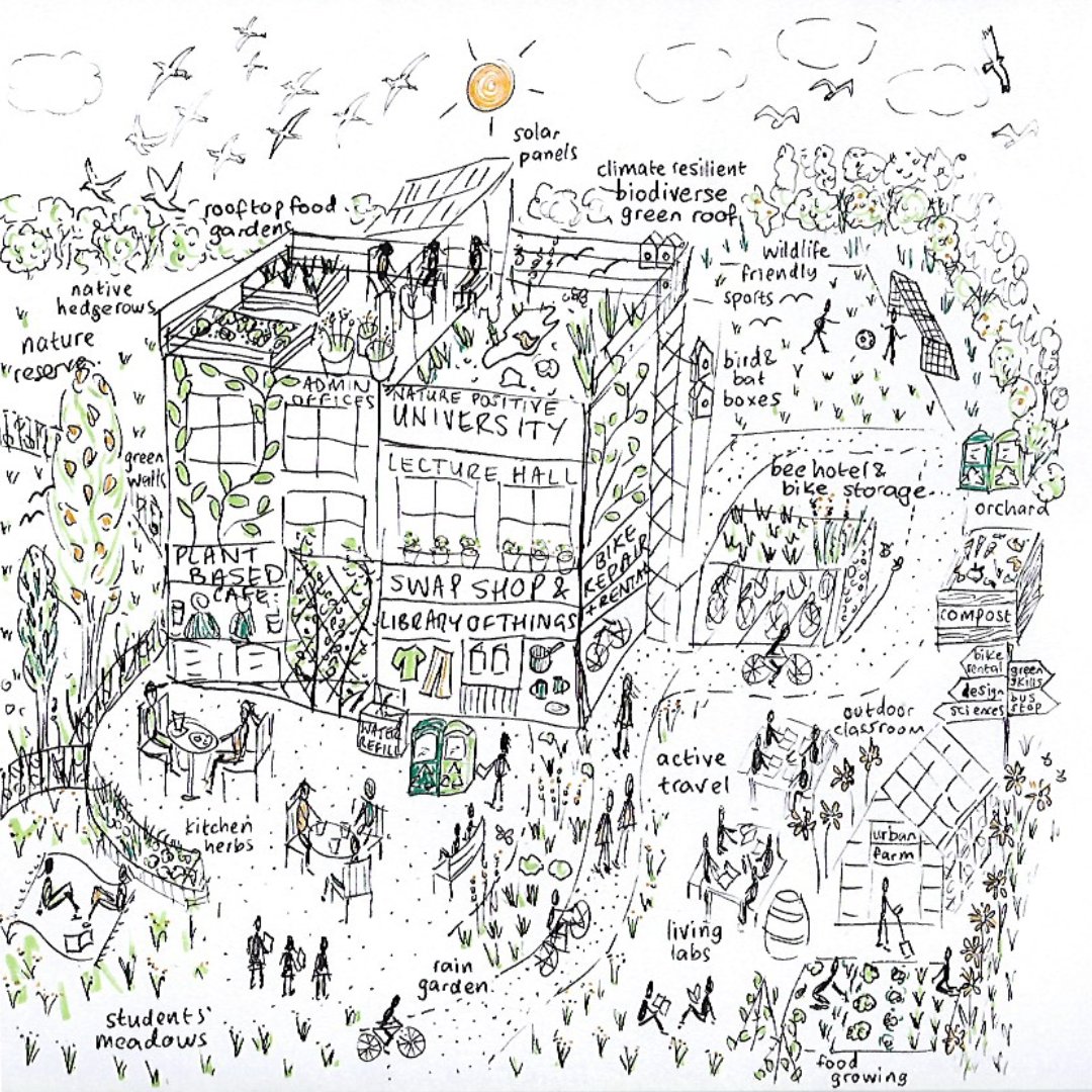 What would a university working towards a nature positive future look like? 

How can we facilitate one planet lifestyles and make space for other species too in our urban spaces? 

#generationrestoration #naturepositive #naturepositiveuni #oneplanetliving #urbanecology