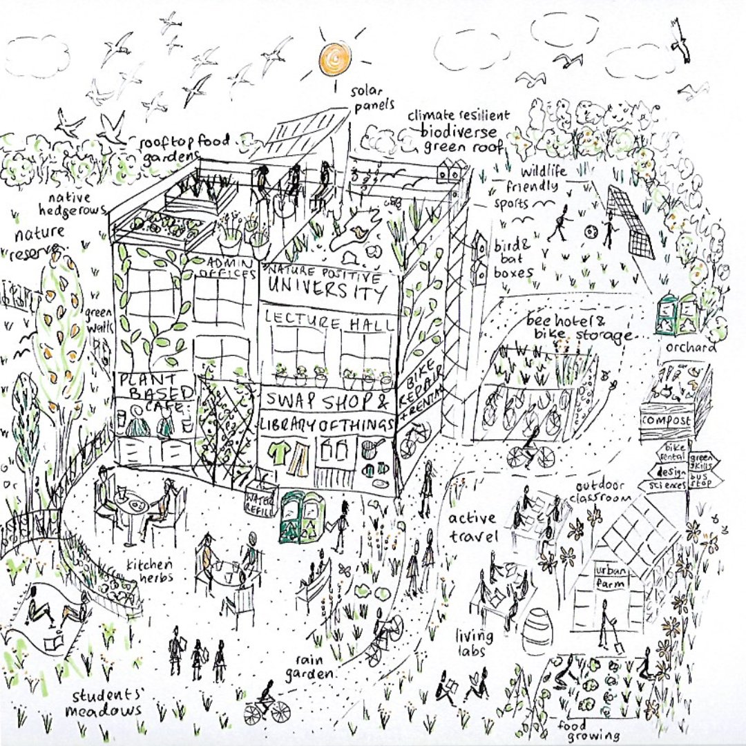 What would a university working towards a nature positive future look like? How can we facilitate one planet lifestyles and make space for other species too in our urban spaces? #generationrestoration #naturepositive #naturepositiveuni #oneplanetliving #urbanecology